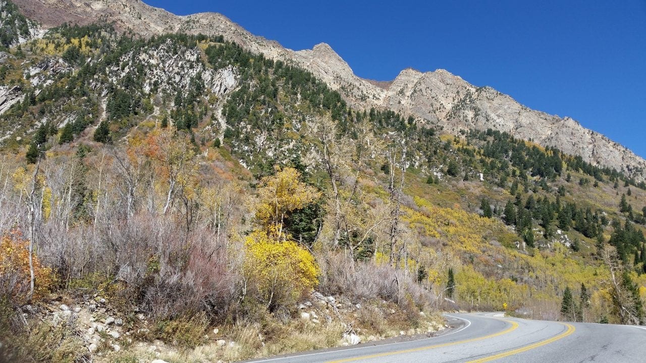 Fall colors surrounding Little Cottonwood Canyon