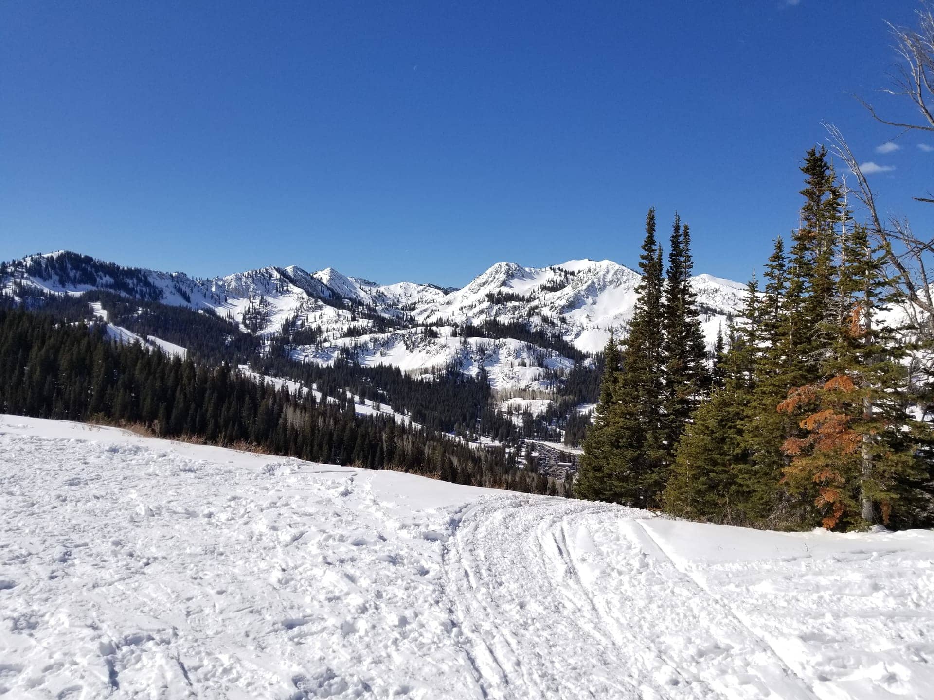 View from near the top of the skin track