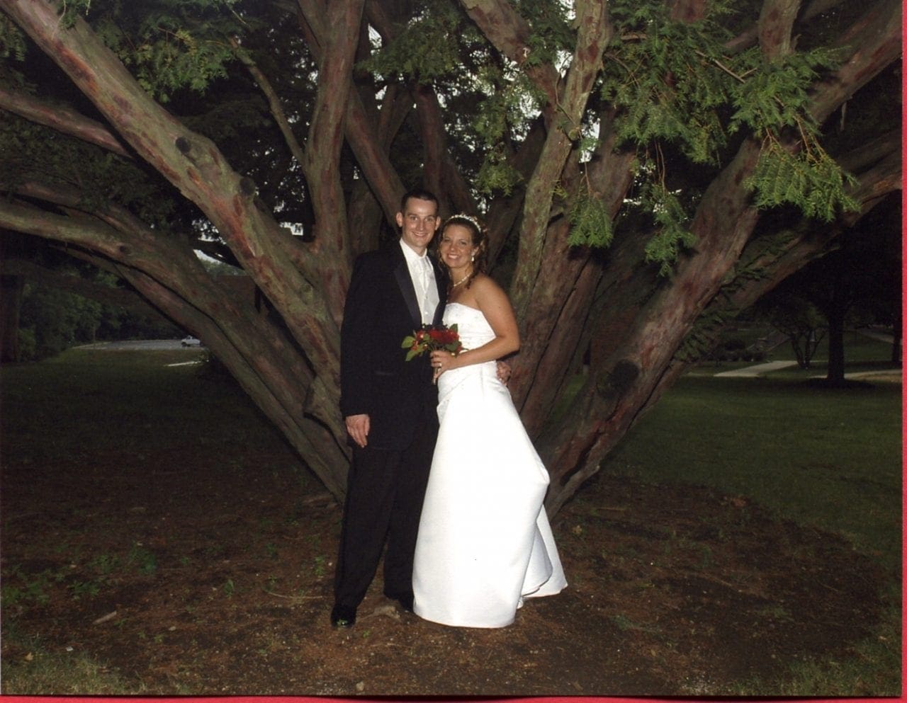 Our wedding photo in front of a unique tree