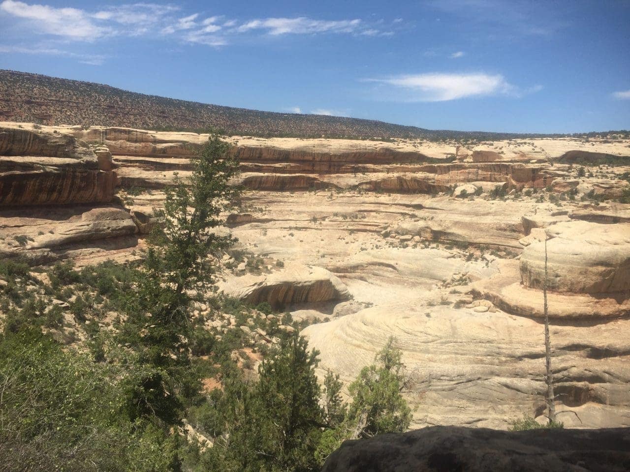 Looking at Fry Canyon from the upper rim