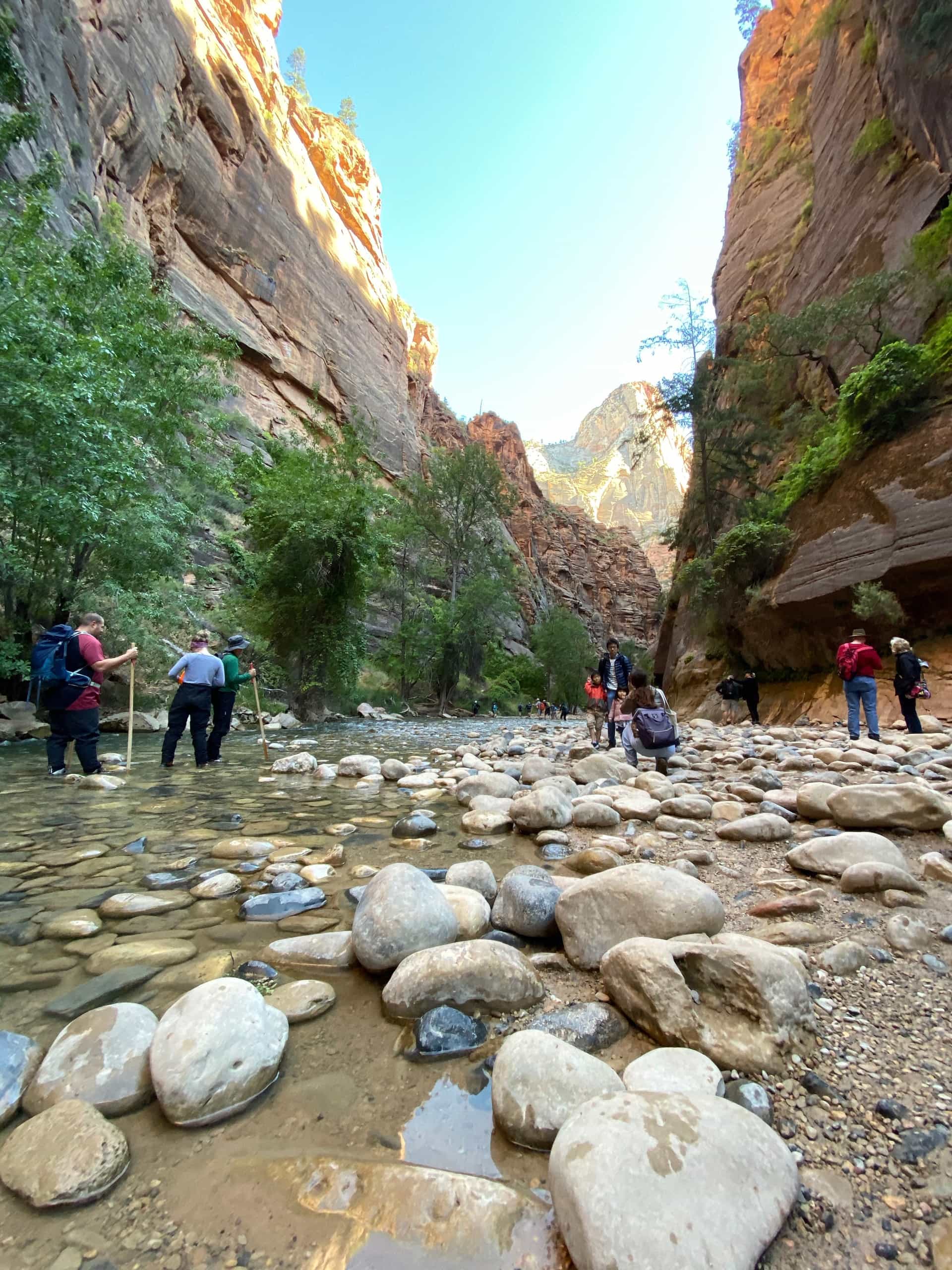 Getting our first peek at The Narrows hike through the Virgin River