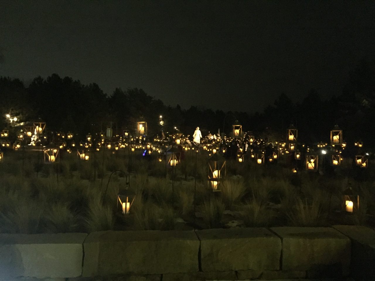 The "Light the World" display at Luminaria