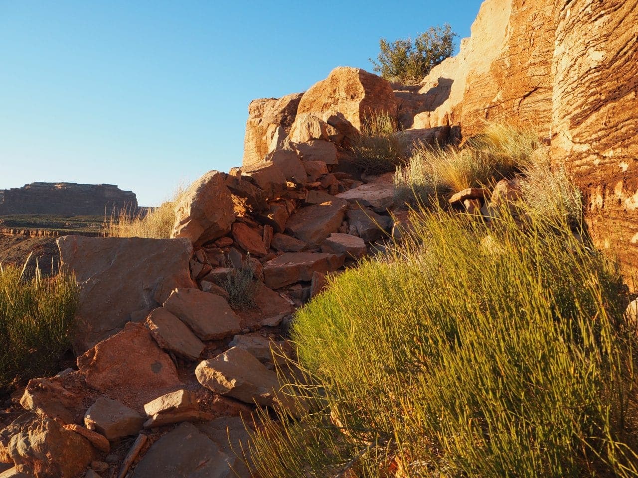 Steep and rocky entrance to the Honaker Trail