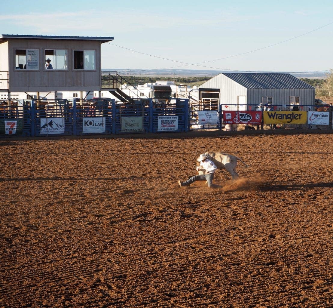 Cowboy wrestling a steep at the San Juan Stampede rodeo
