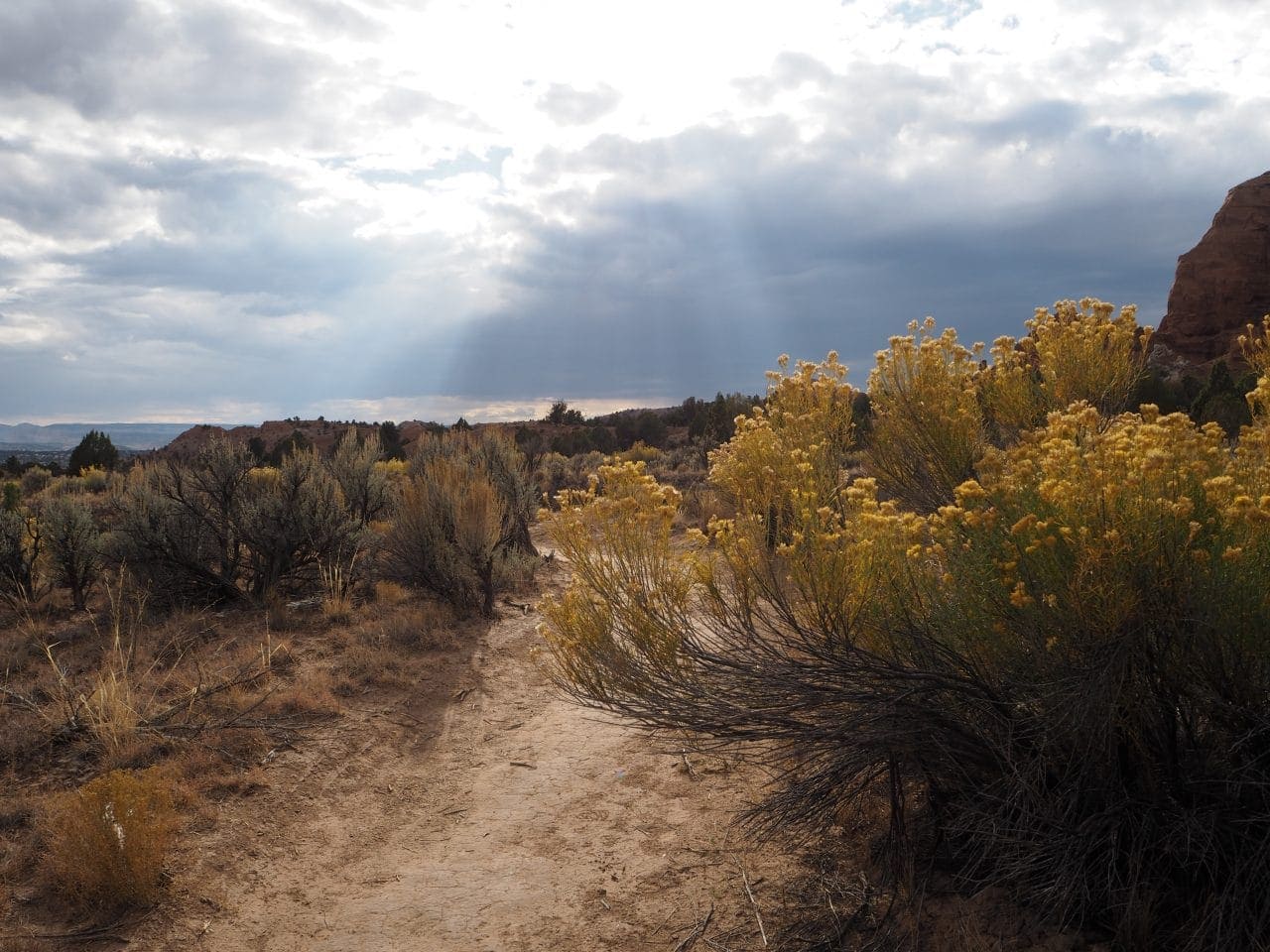 Desert views on the Panorama Trail