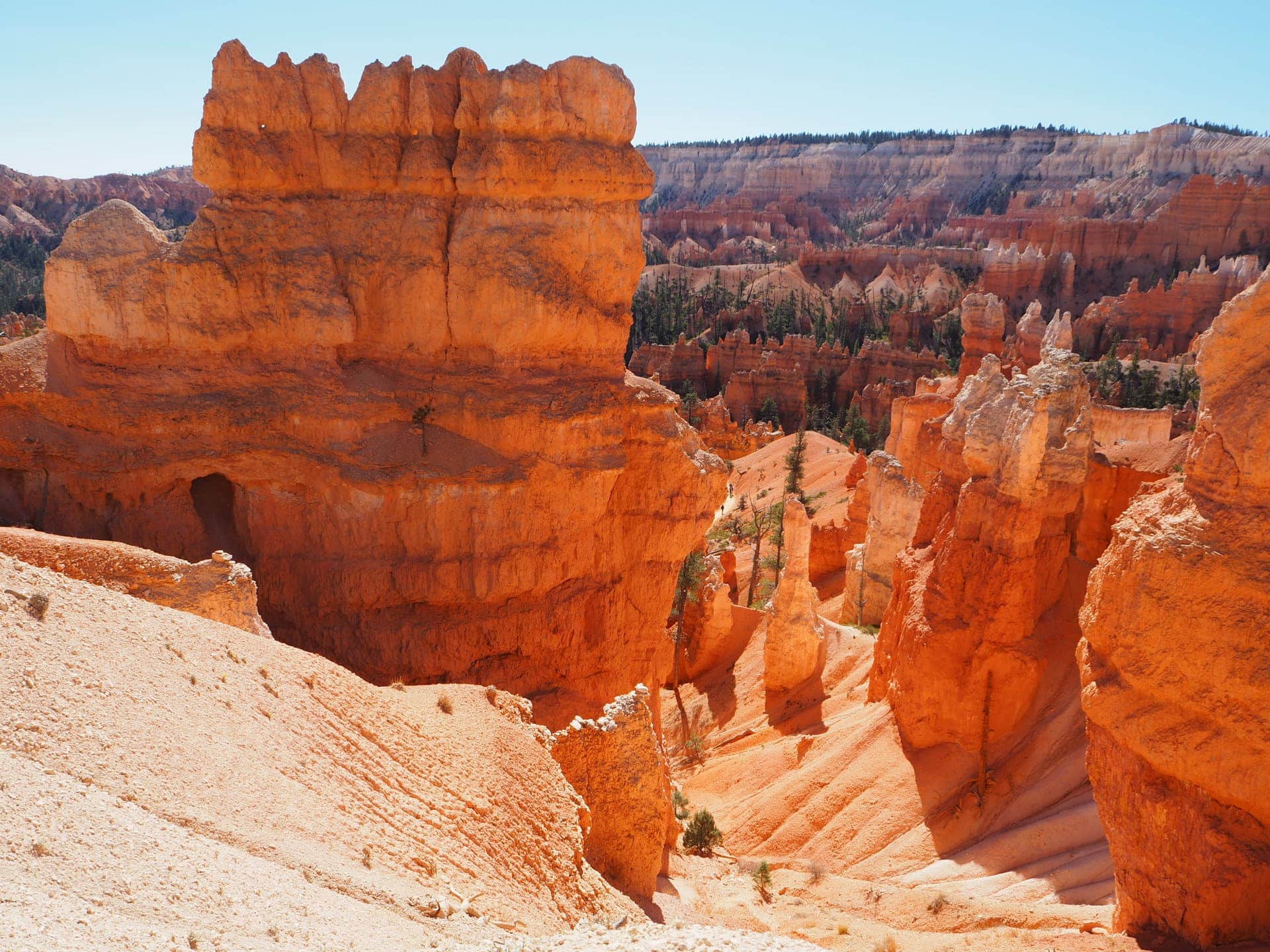 Looking down into Bryce Canyon National Park
