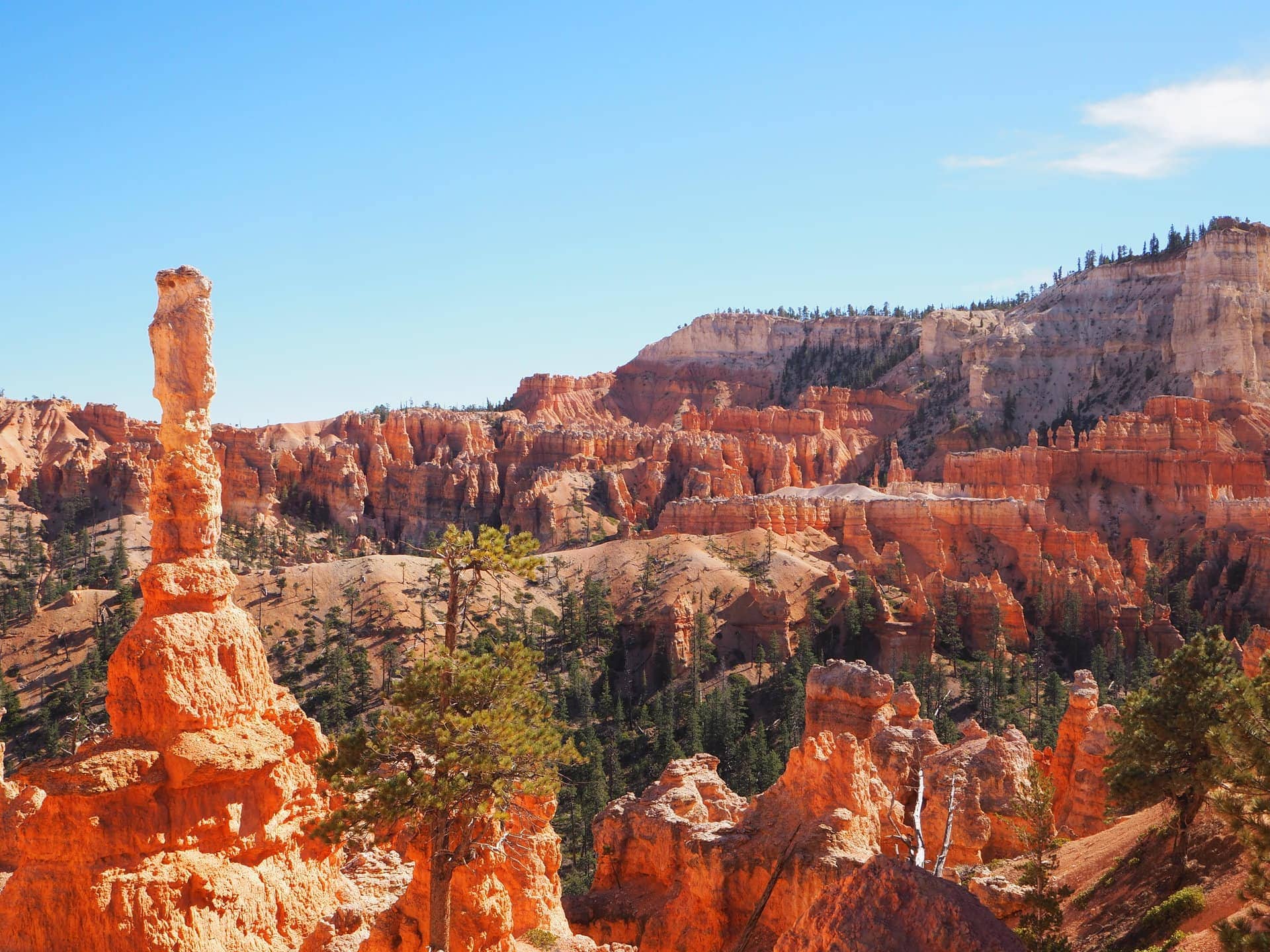 Bryce canyon is full of incredible hoodoo rock formations