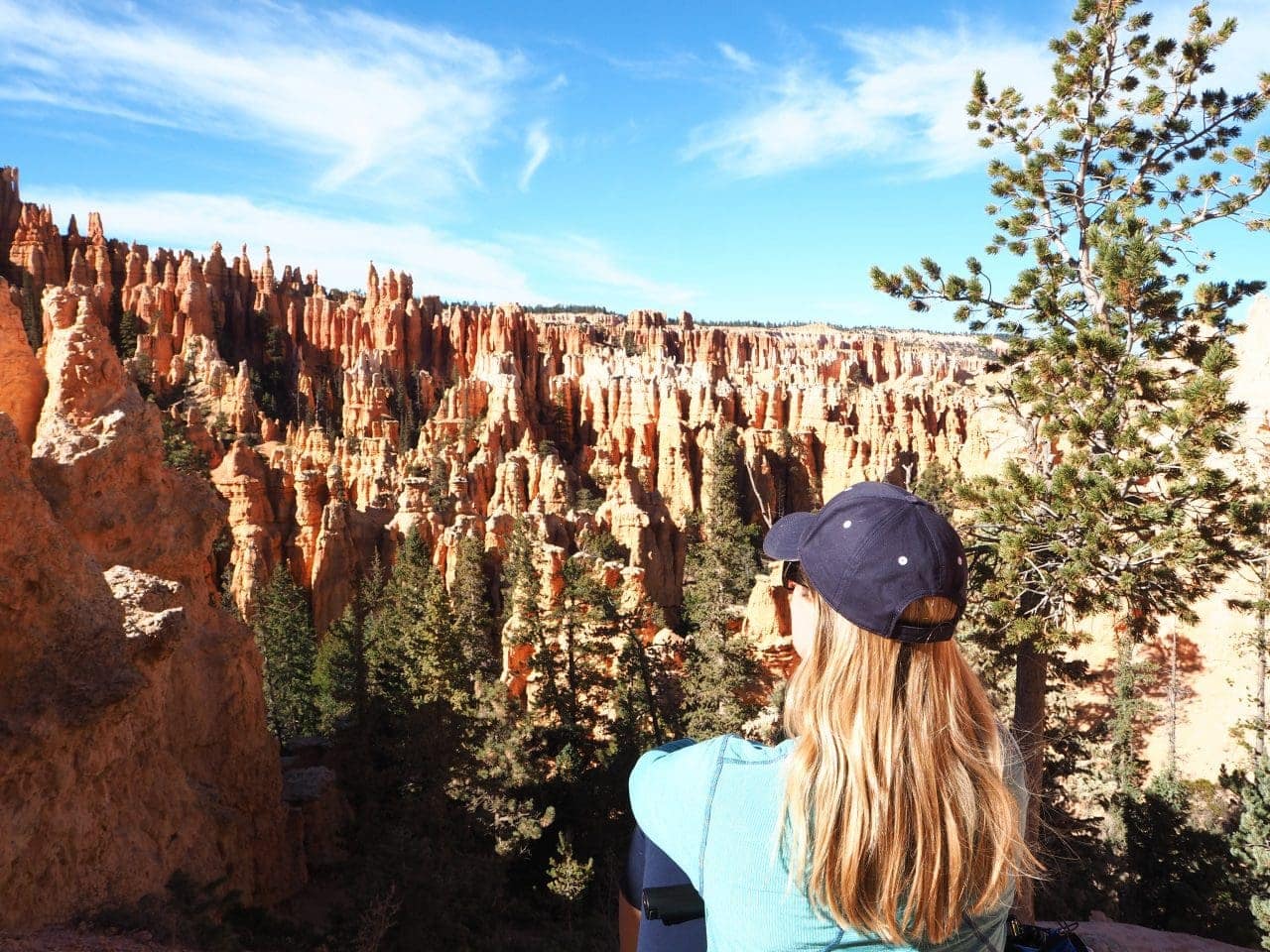 Lindsey stared at the countless hoodoos in the park