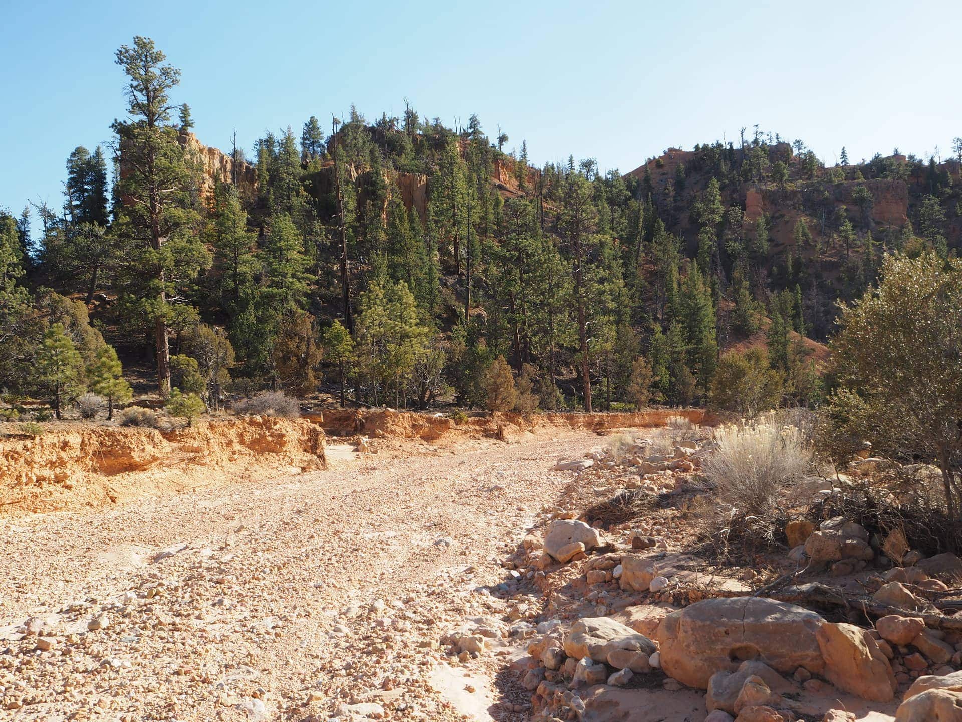 A large wash area in Losee Canyon