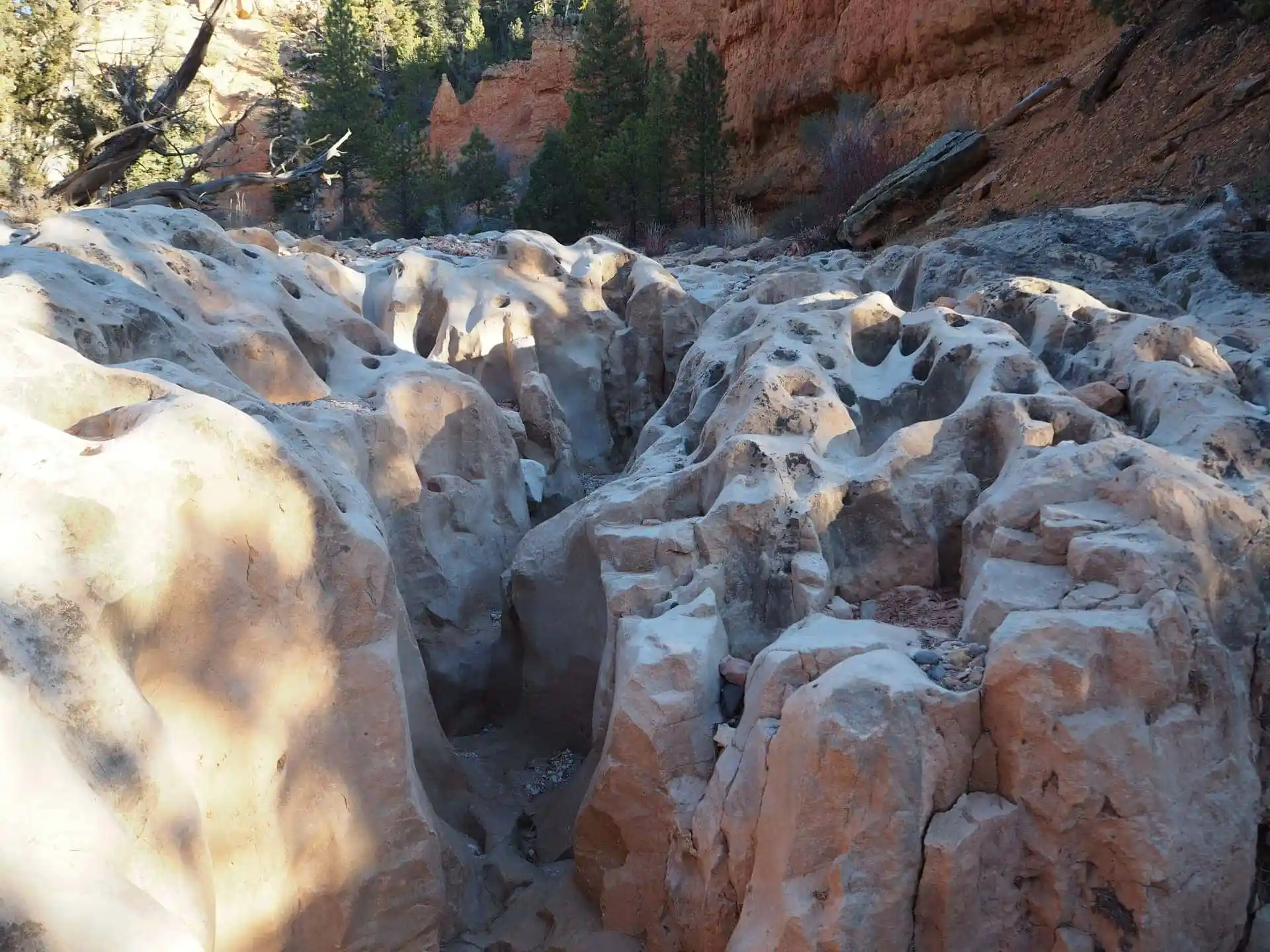 Heavy erosion in the sandstone is starting to form a slot canyon