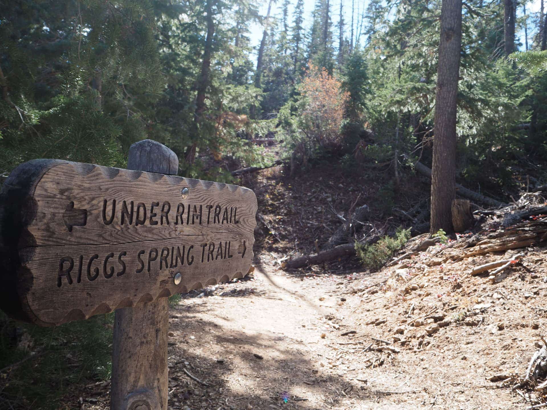 Riggs Spring Trail sign pointing straight ahead