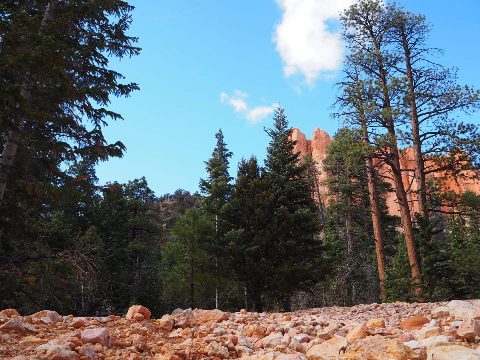 Looking up from a wash crossing on the trail