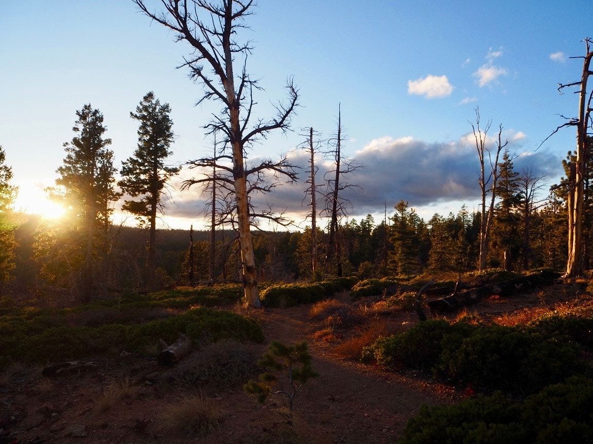 The sun setting over the Riggs Spring Loop Trail