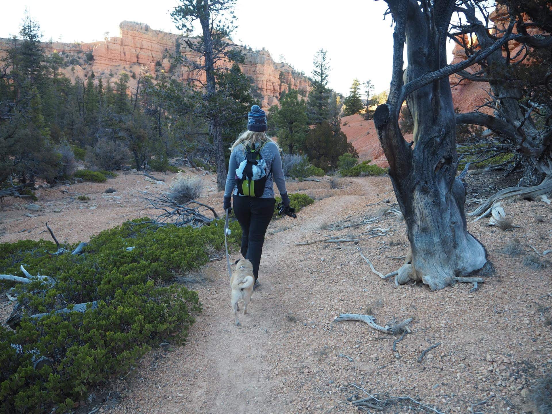 Lindsey hiking with Lexi close behind her