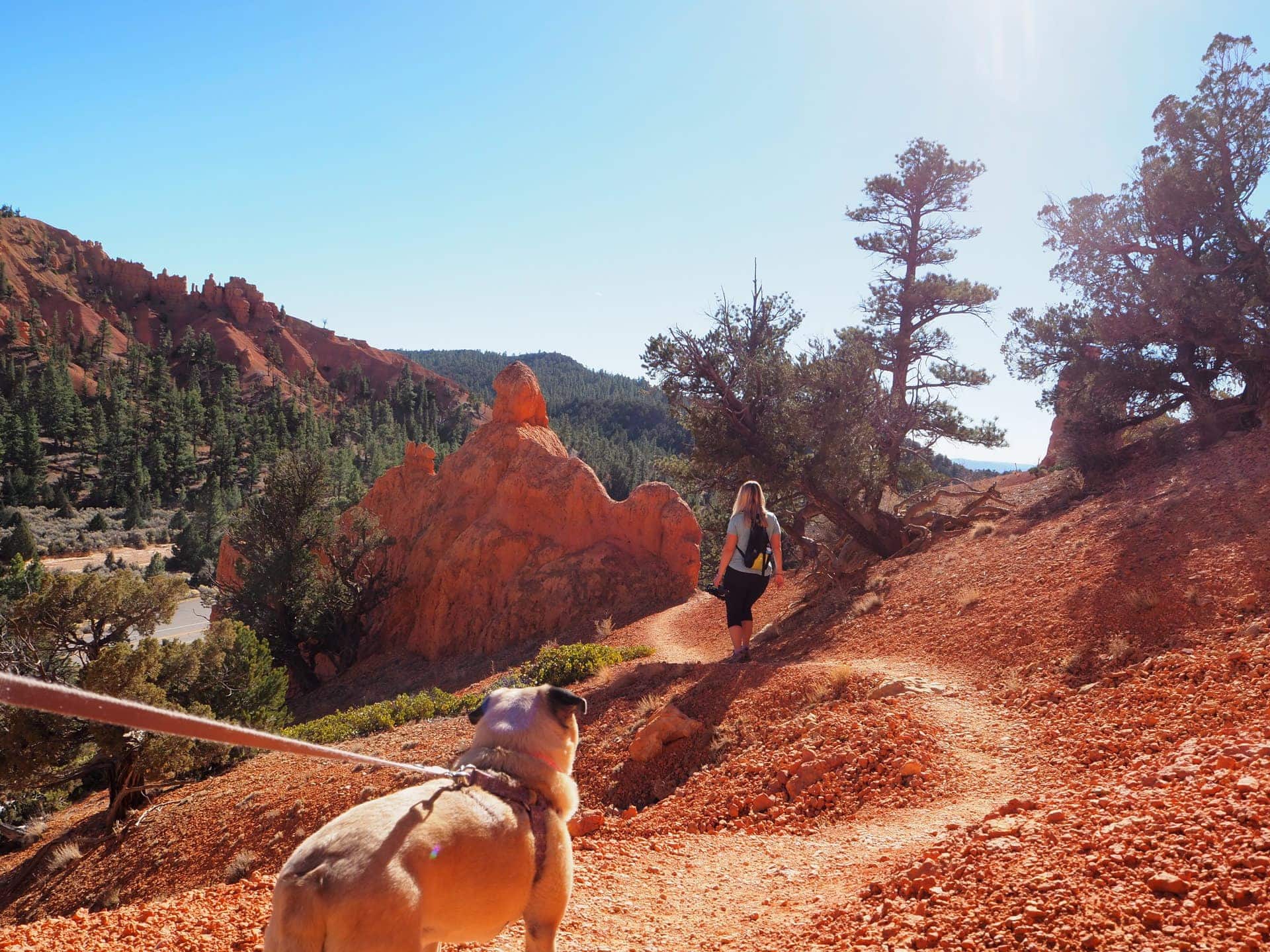 Lexi watching Lindsey while hiking at Red Canyon