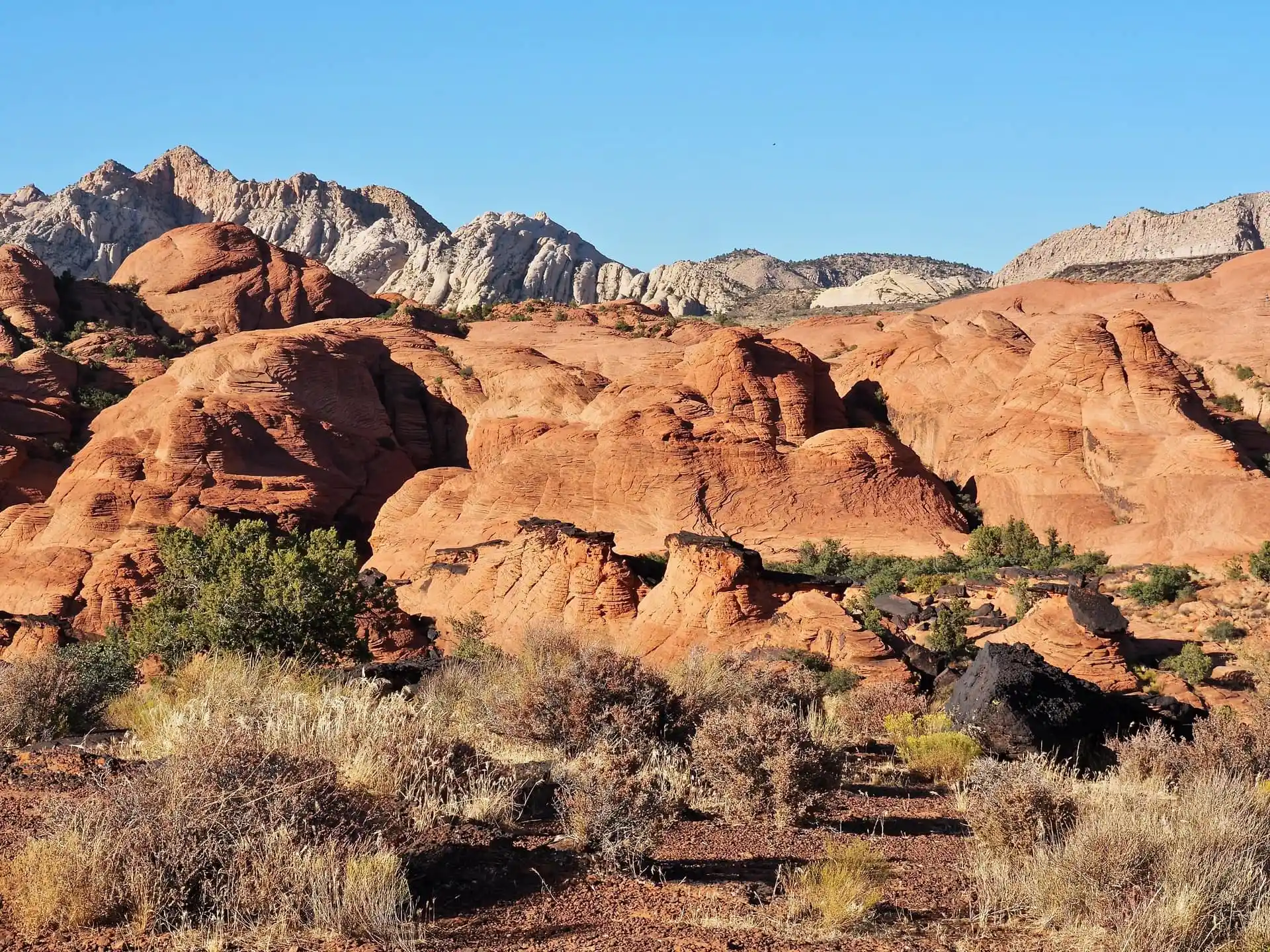 Snow Canyon State Park is full of amazing sandstone and lava formations