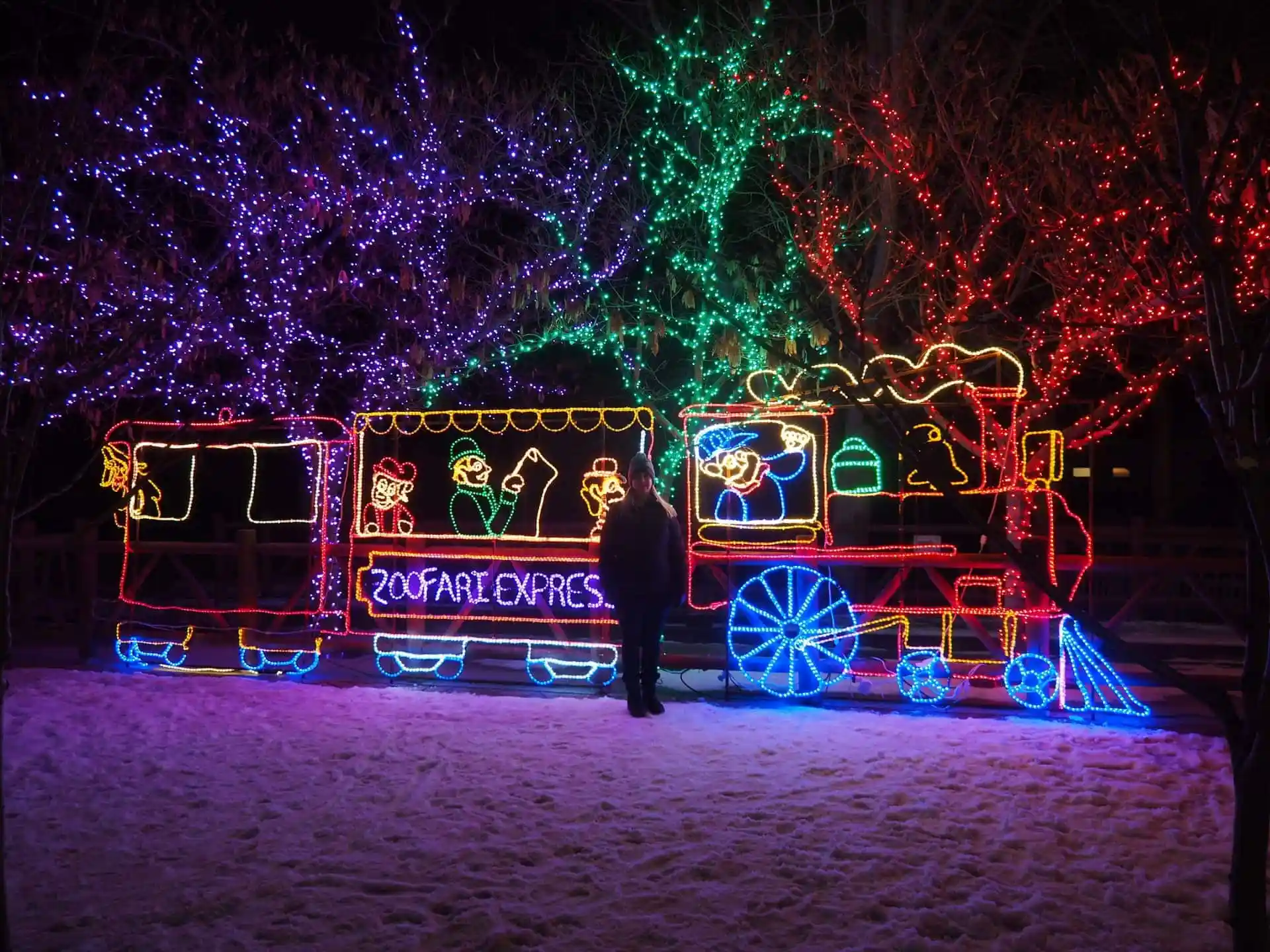 A large Christmas light train display at Utah's Hogle Zoo