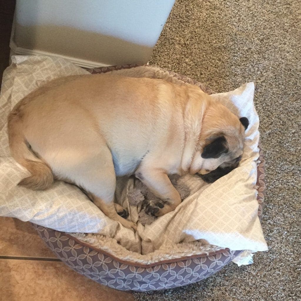 Lexi is asleep in her bed after all the moving-in drama