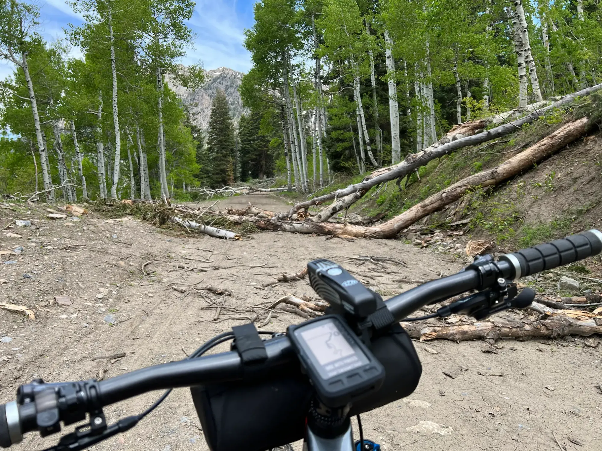 Keith has encountered several downed trees blocking his route while out on an adventure ride in the Wasatch Mountains