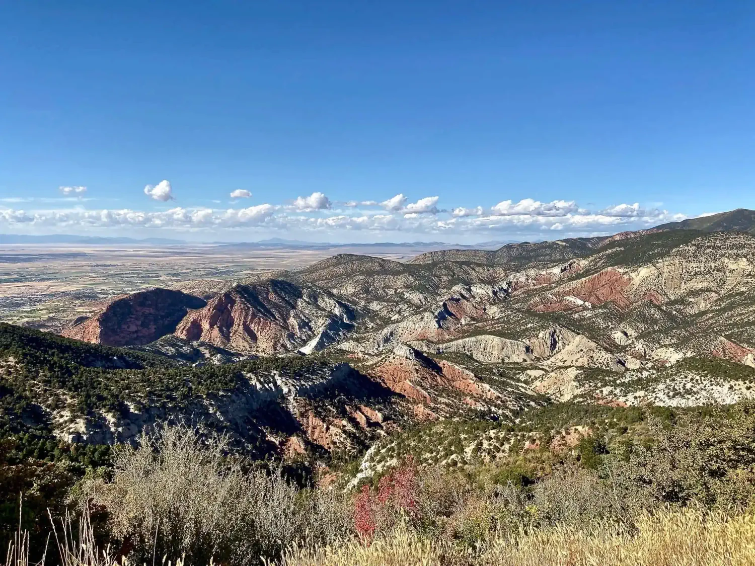 A spectacular overlook near the start of the Kolob Plateau drive