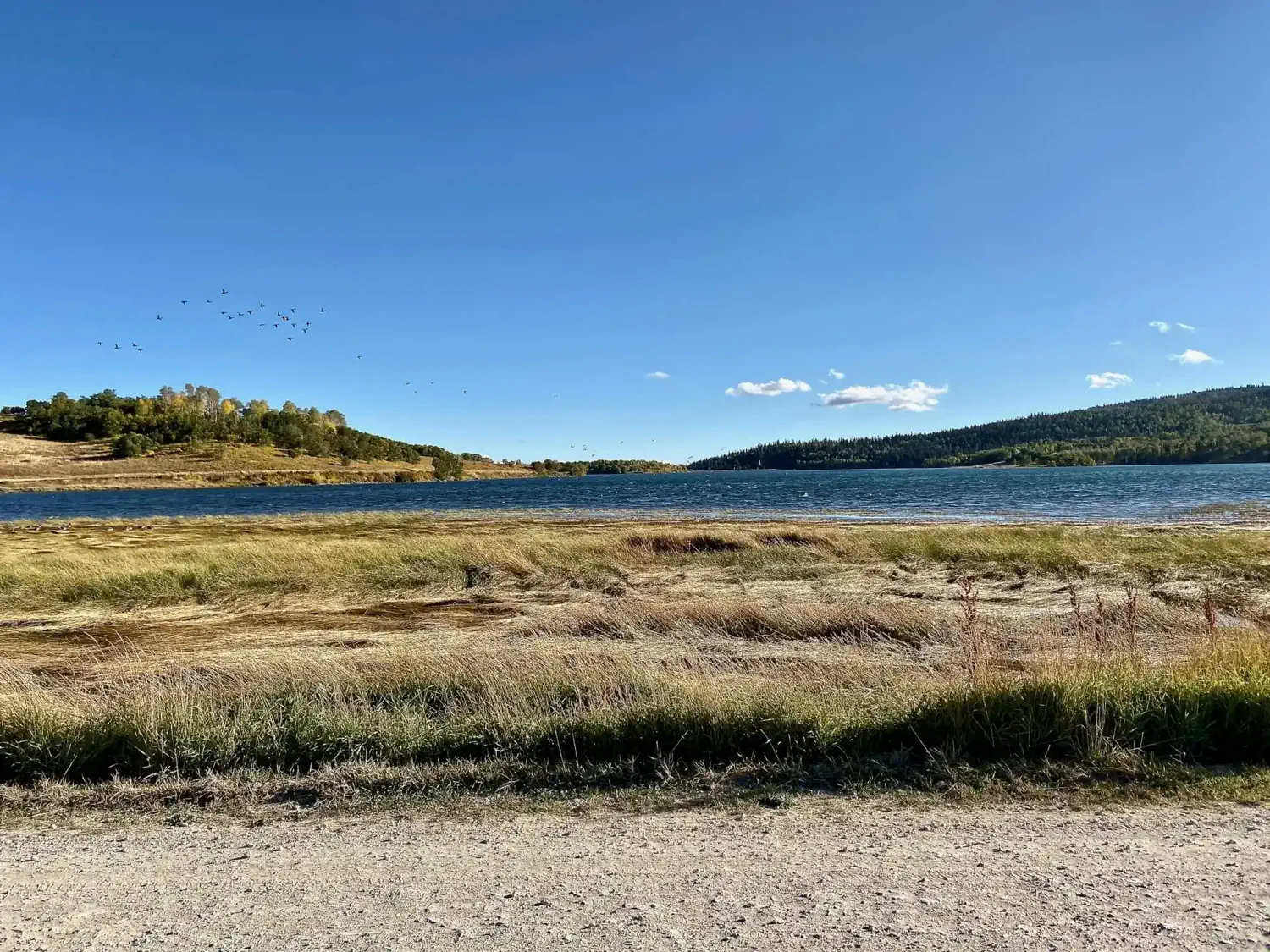 A very windy day at the Kolob Reservoir