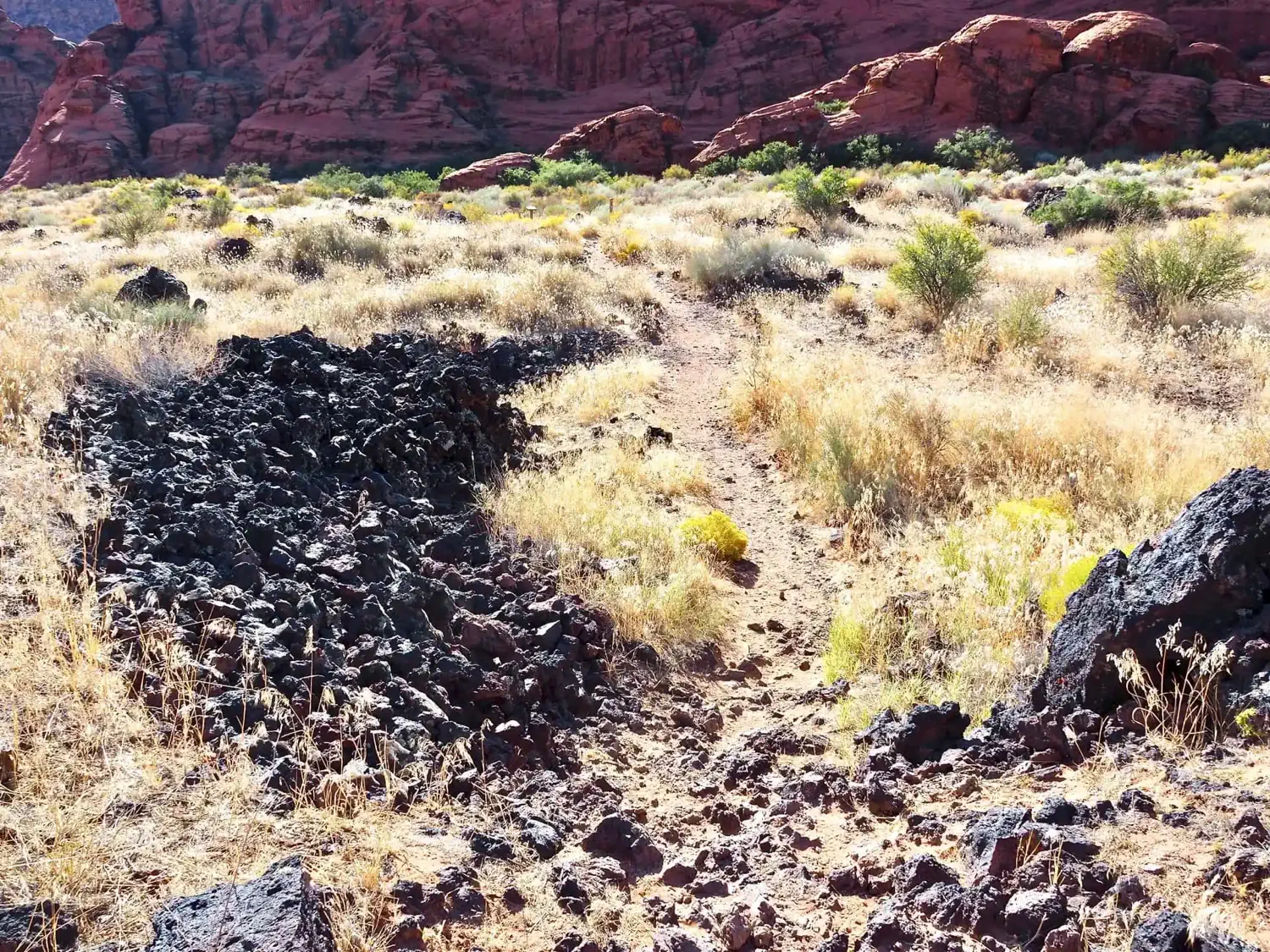 A small lava field at Snow Canyon State Park