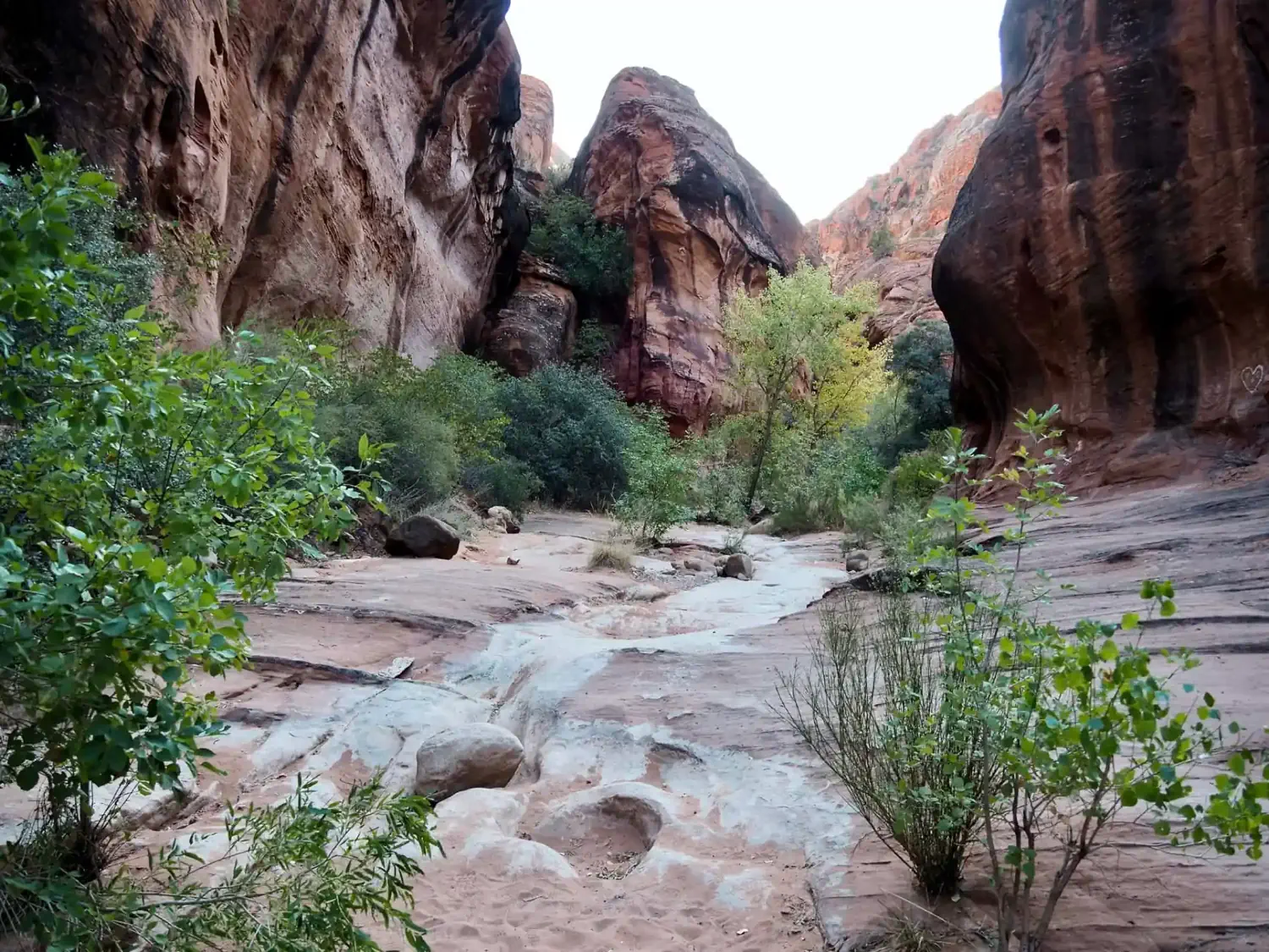 Entering the Red Reef hiking area