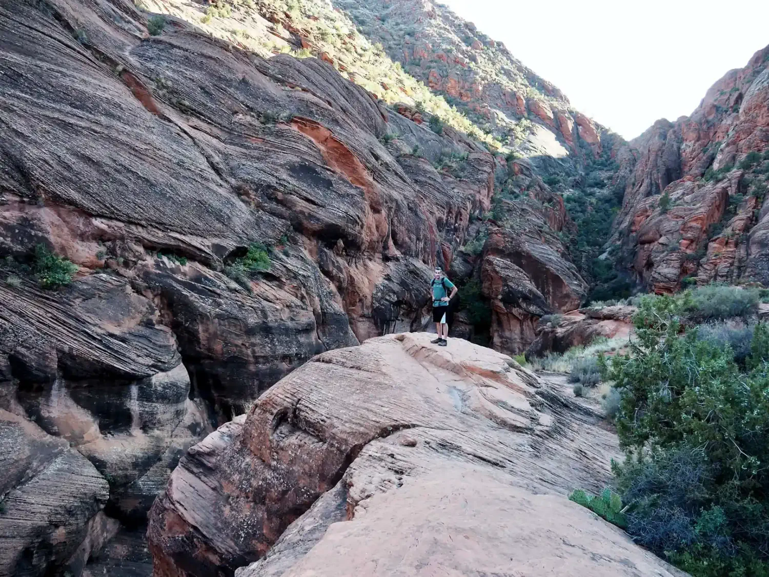 Keith is standing high above the canyon on the Red Reef hike