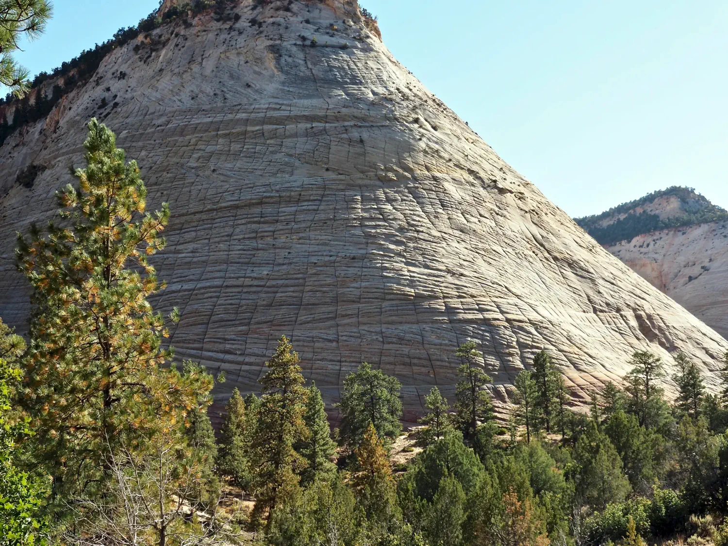 The magnificent Checkerboard Mesa can be seen from the highway