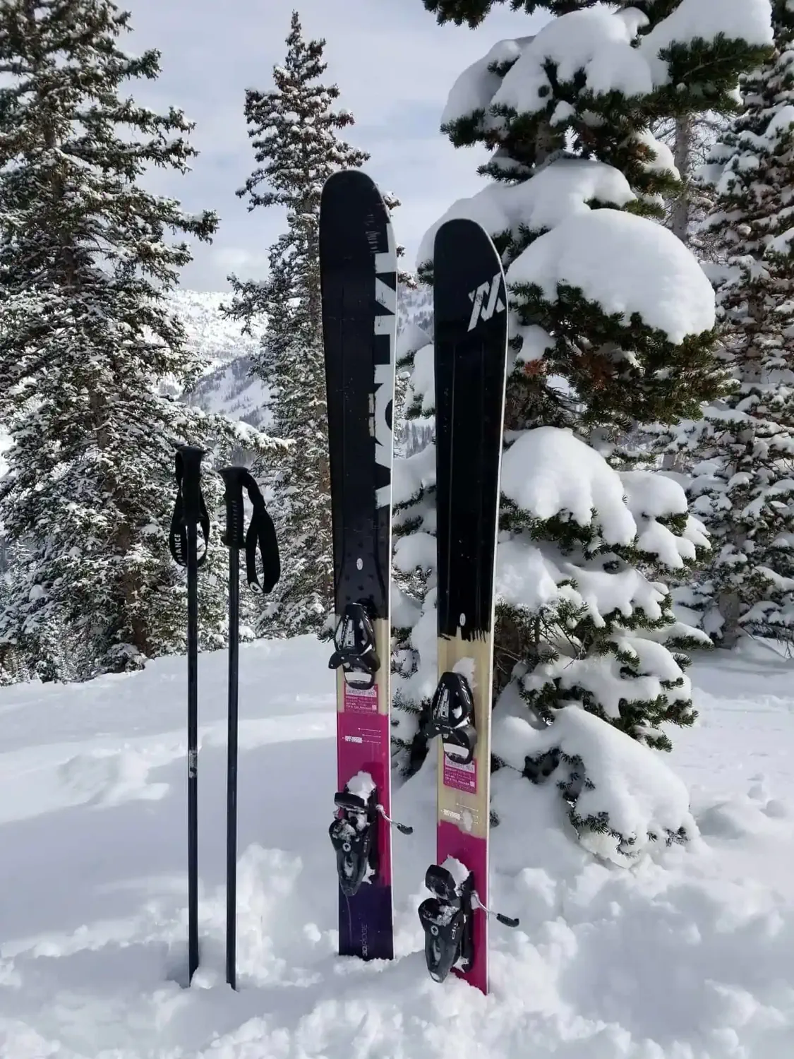 Lindsey's new ski poles and skis standing in the snow