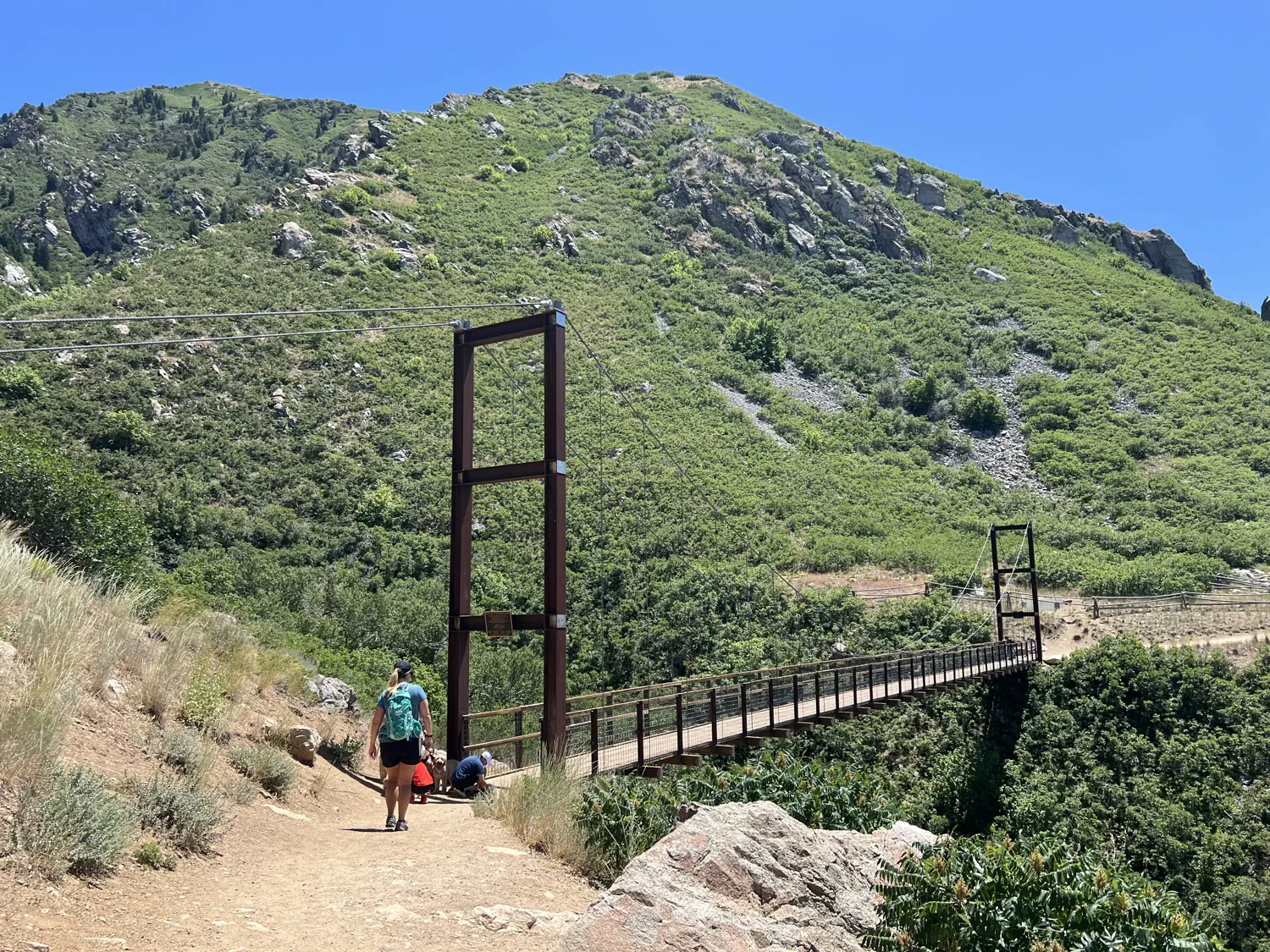 Lindsey is approaching the Bear Canyon Suspension Bridge