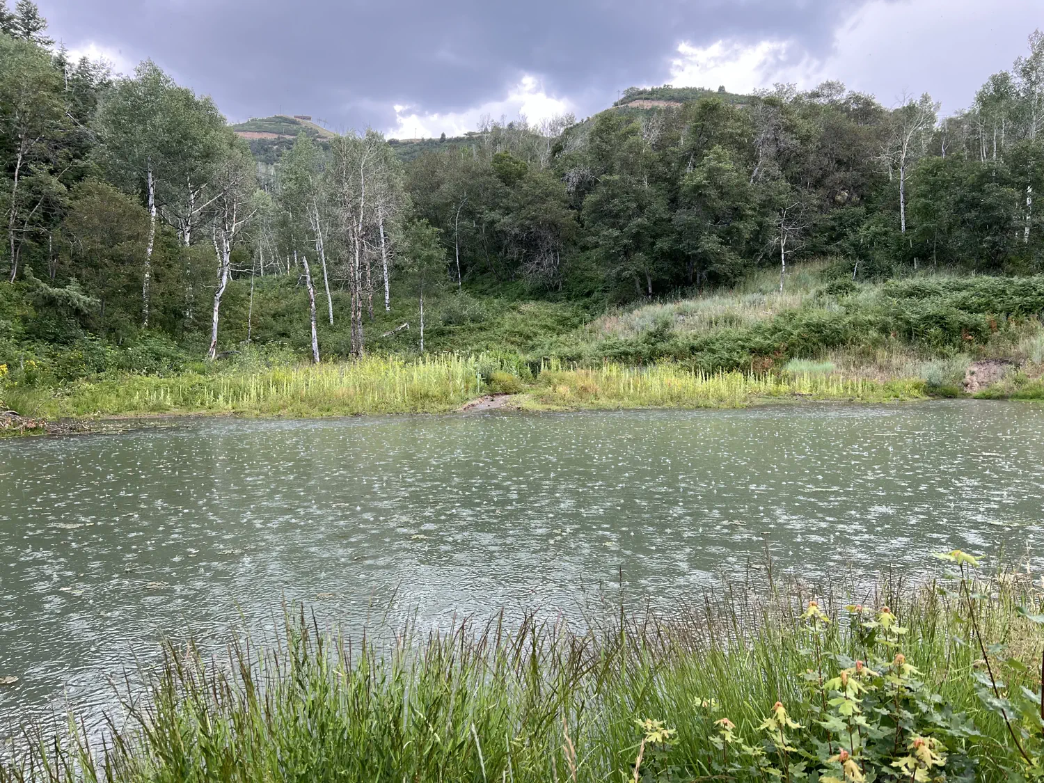 Rain is dancing on Scott's Pond along the back side of the mountain biking trails at Sundance Mountain Resort