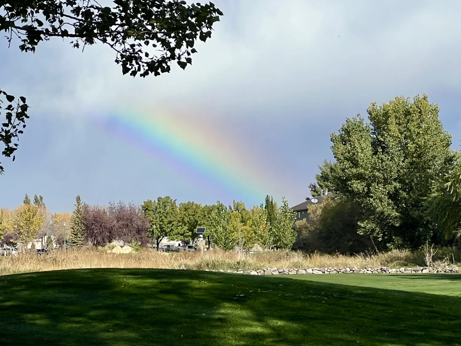 A rainbow is visible from our back patio! 🌈