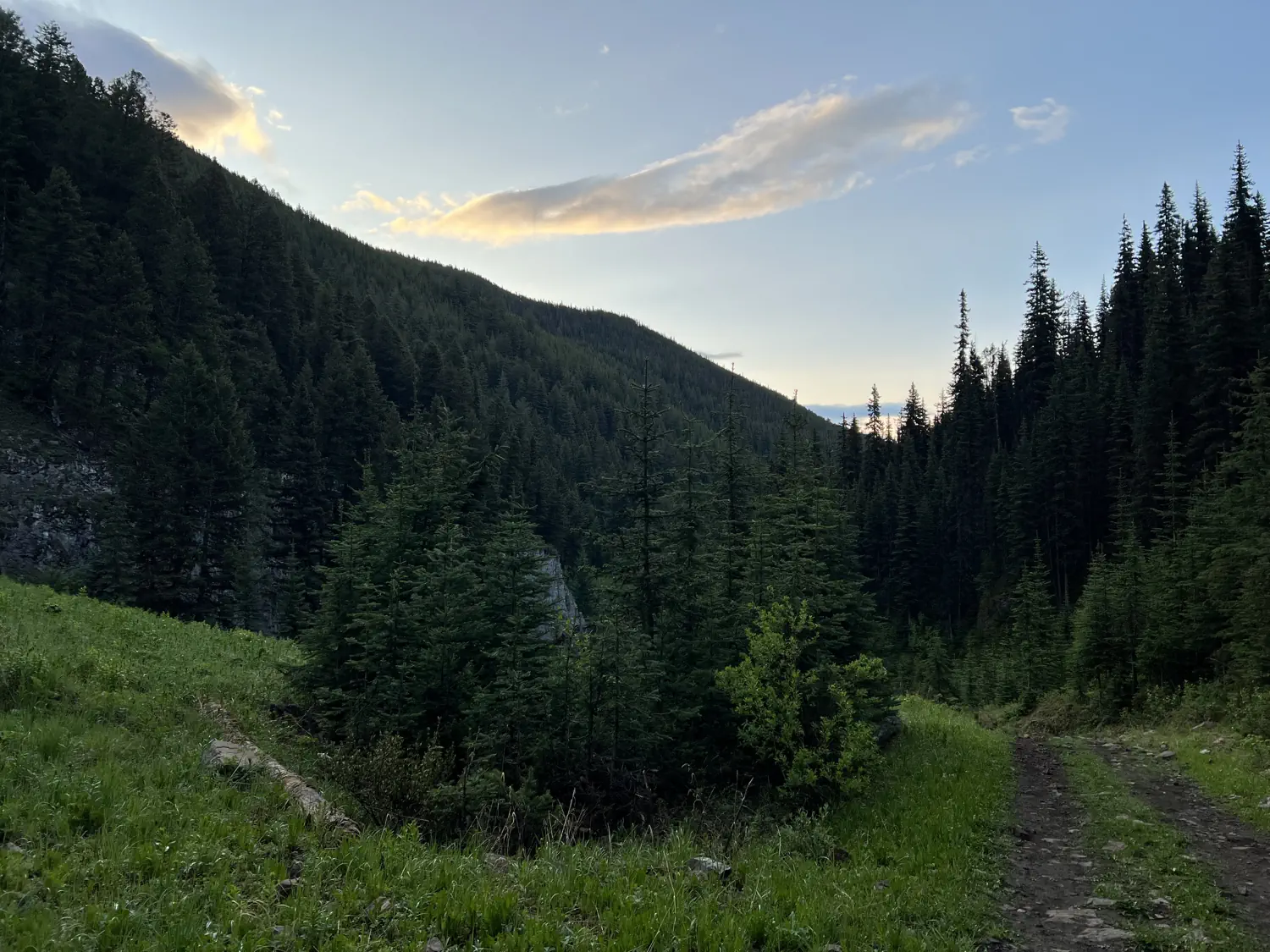 Looking back down Koko Claims on one of the short-lived, ridable sections