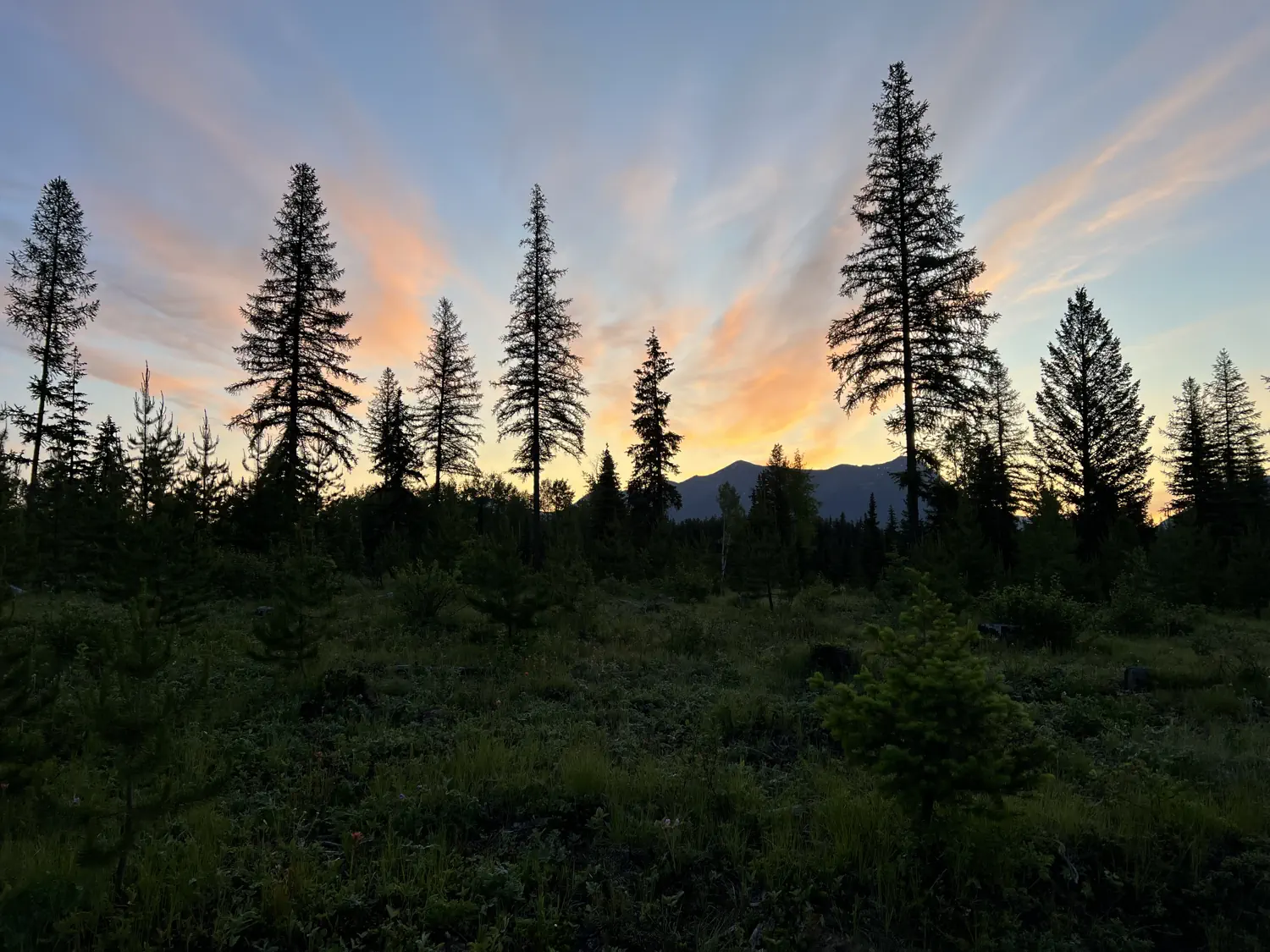 A beautiful, but very chilly morning leaving Butts Cabin