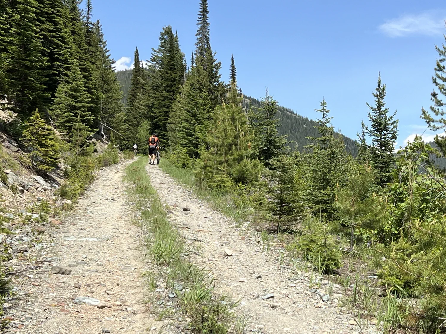 Climbing Galton Pass, with a few other racers in front of me