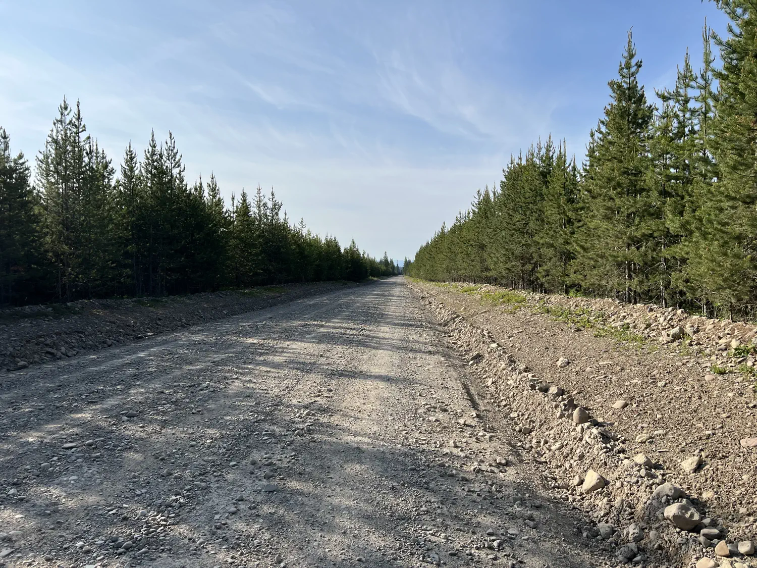 A recently graded, seemingly never-ending, gravel roadway