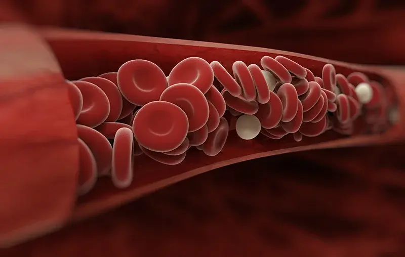 Graphic of blood platelets (source: in2it medical)